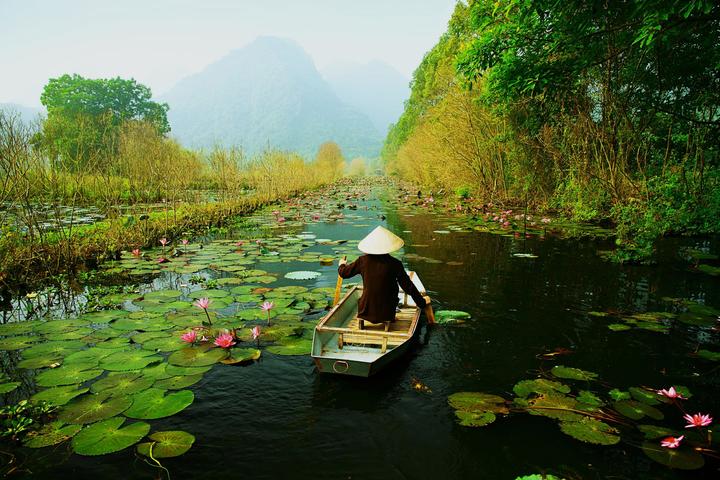 Mỹ Tâm: Họa mi tóc nâu và mối quan hệ với học trò
