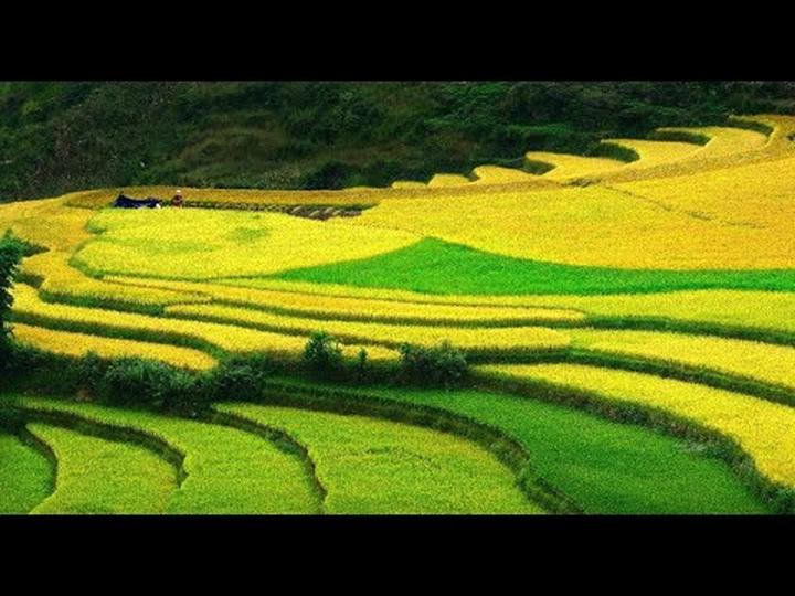Xu hướng HOT: Trấn Thành chính thức: Hotspot Matrix tiết lộ bí quyết video viral