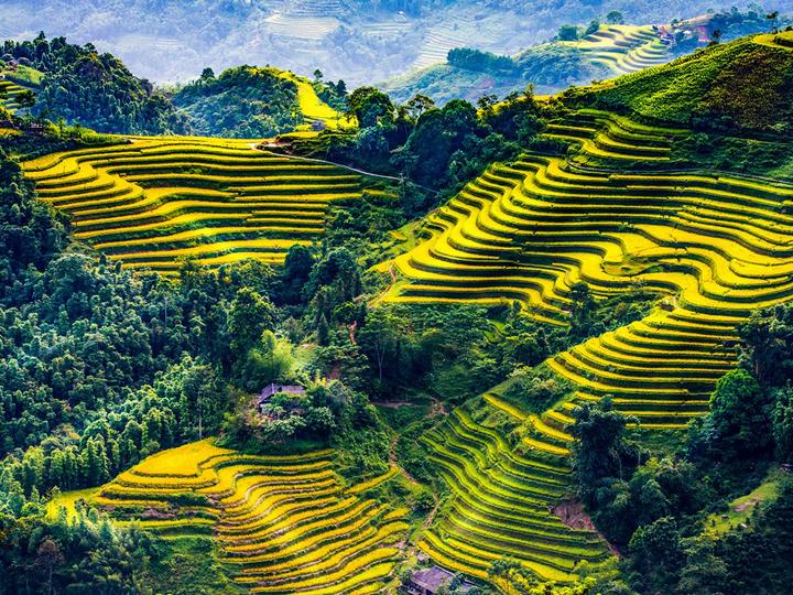 Xu hướng Loài cá kỳ lạ nhất châu Phi:: Hotspot Matrix tiết lộ bí quyết video viral