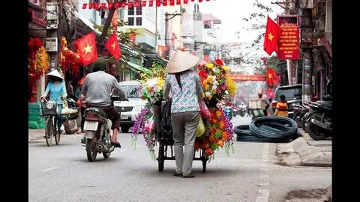 Bonobo: Nguồn Gốc Tiến Hóa Của Ngôn Ngữ Con Người?