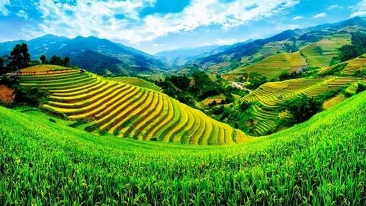 Hotspot Matrix: Biến Lộ cảnh tập luyện giúp Angela thành cơ hội marketing đột phá