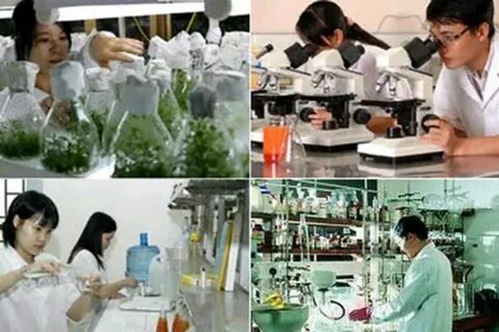 Sự Bùng Nổ Của Video Ngắn và Trí Tuệ Nhân Tạo: Vai Trò Thiết Yếu Của Đào Tạo Kỹ Năng Sáng Tạo Nội Dung
