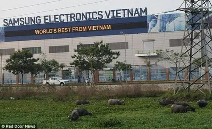 Xu hướng 1 người vừa mua Labubu giá: Hotspot Matrix tiết lộ bí quyết video viral